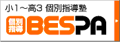 1`3 ʎwBESPA